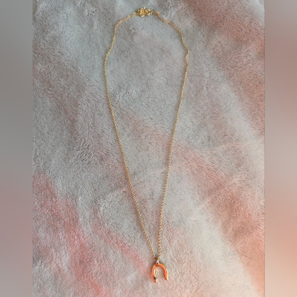 Golden Horsehoe Necklace